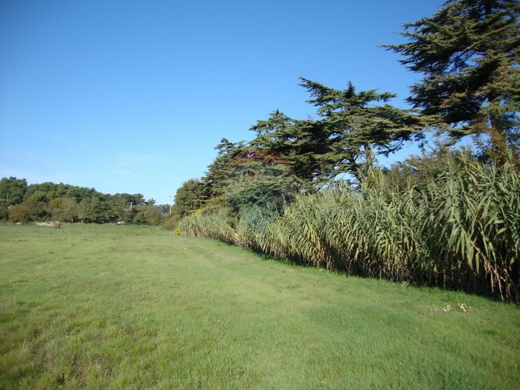 Image 5410625 - 2