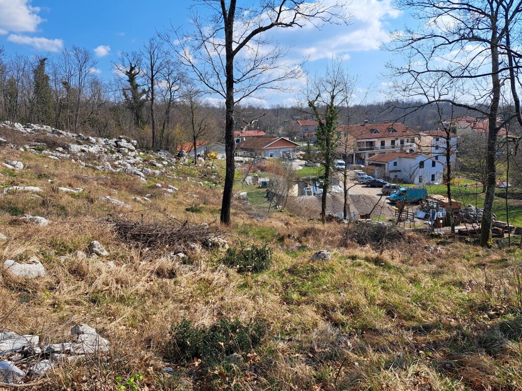 Image 5430221 - 1