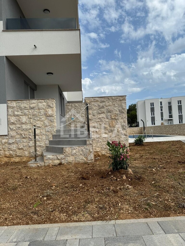 Image 11