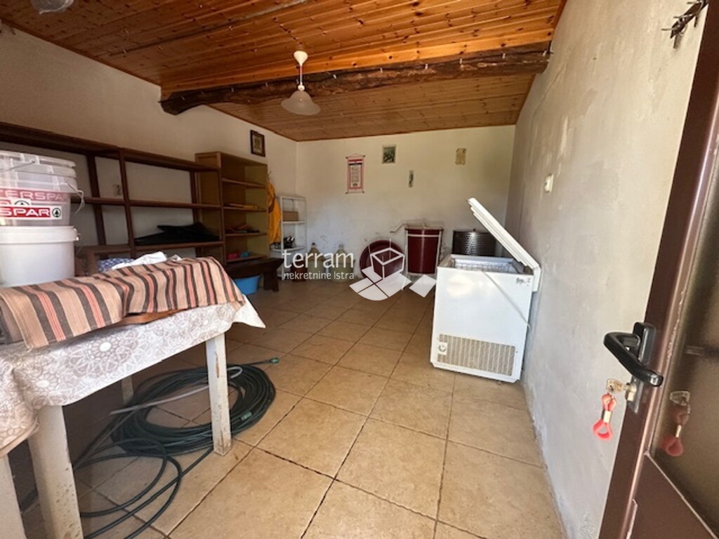 Image 15