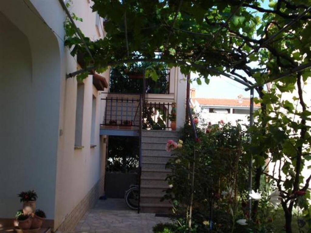 Image 3810893 - 7