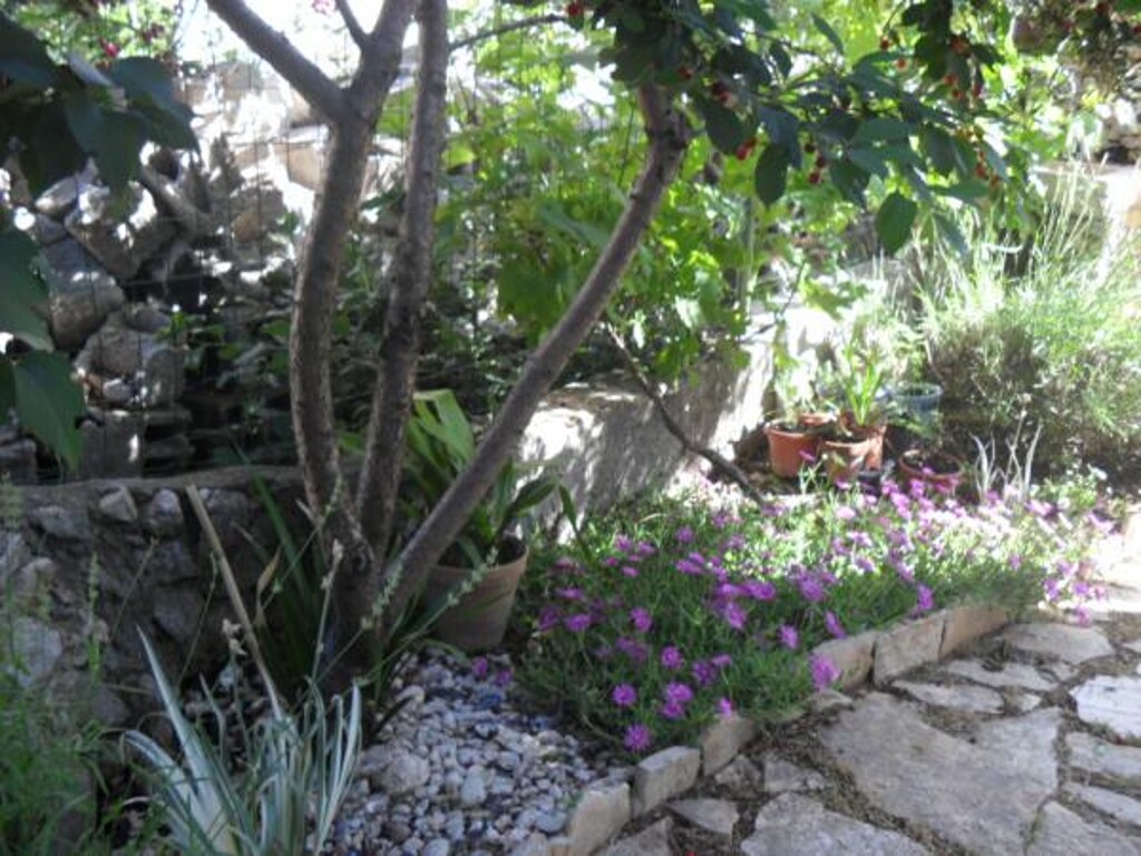 Image 3811635 - 15