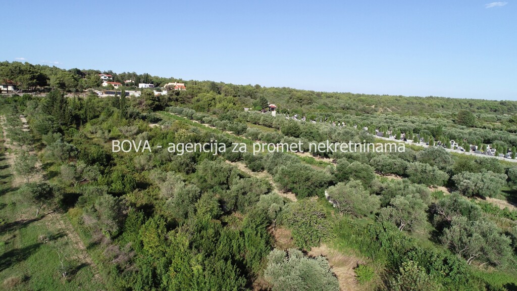 Image 4346216 - 8