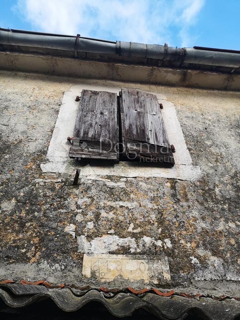 Image 19