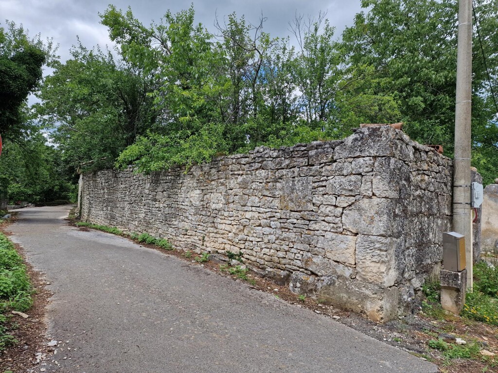 Image 13