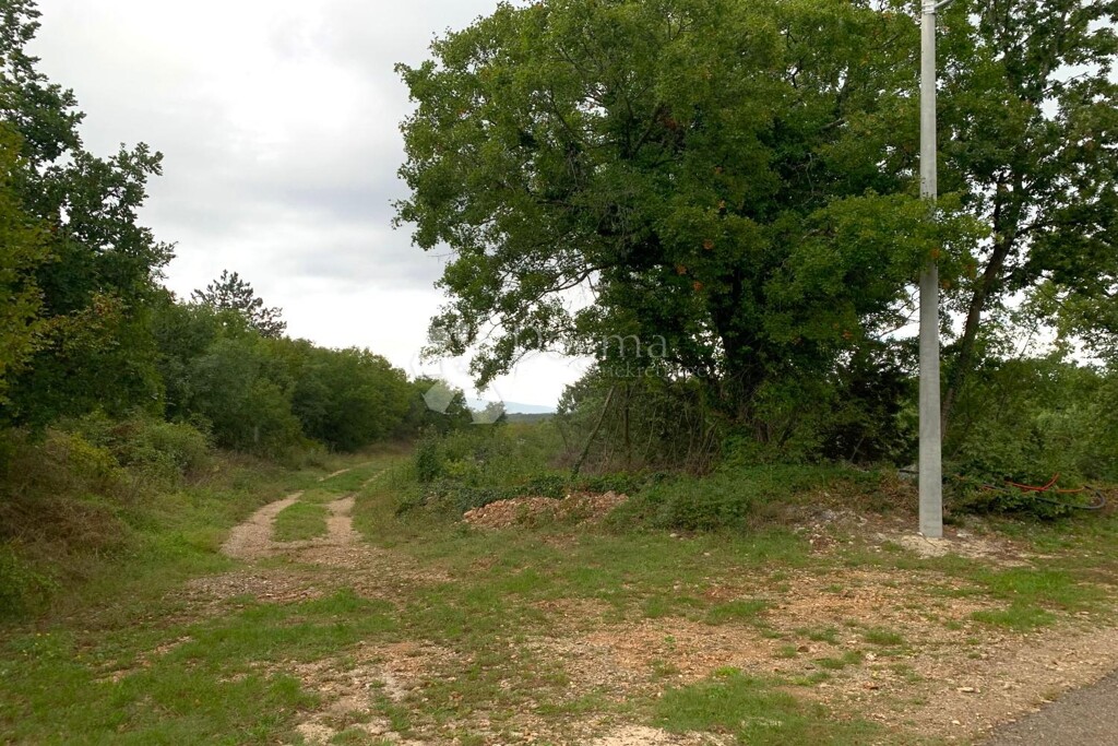 Image 13