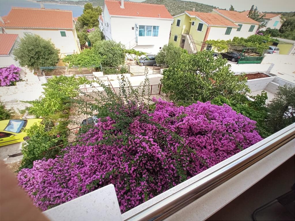 Image 3815230 - 26