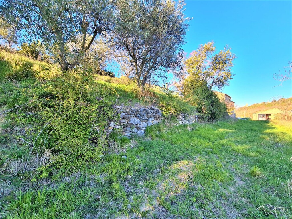 Image 5440087 - 21
