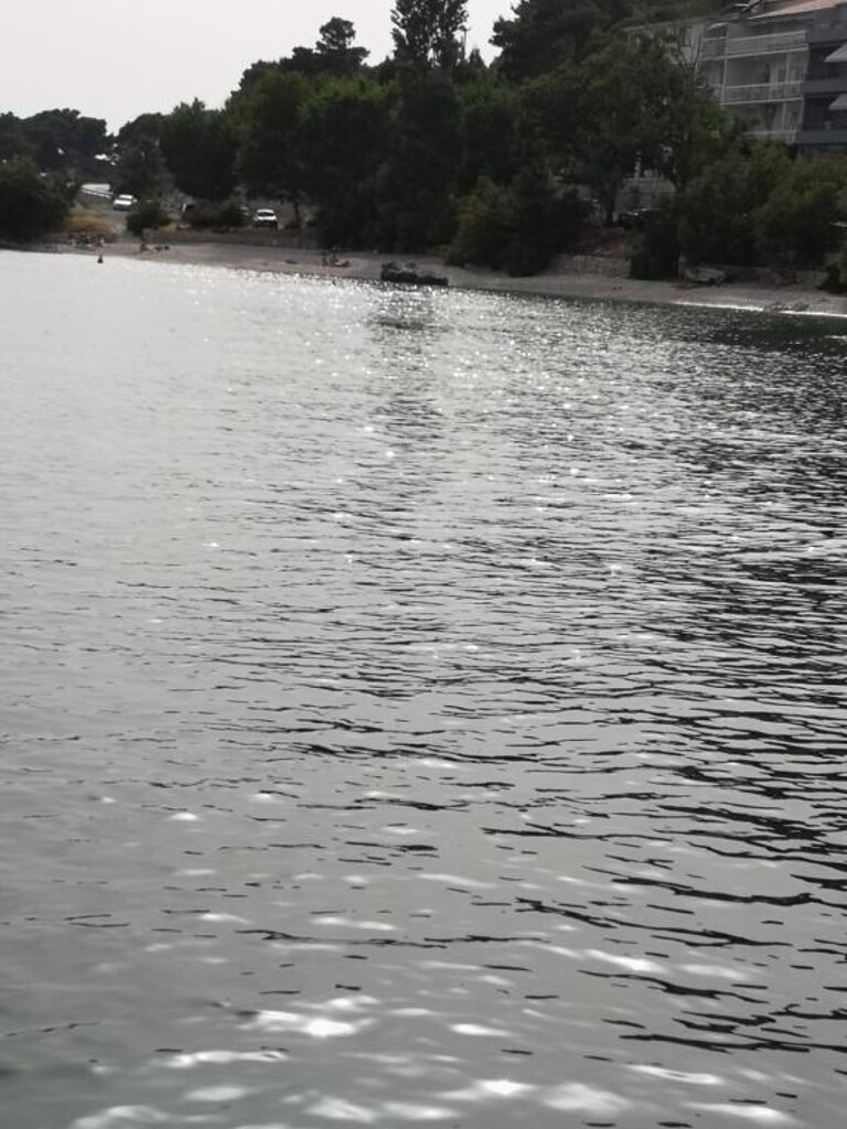 Image 3811642 - 5