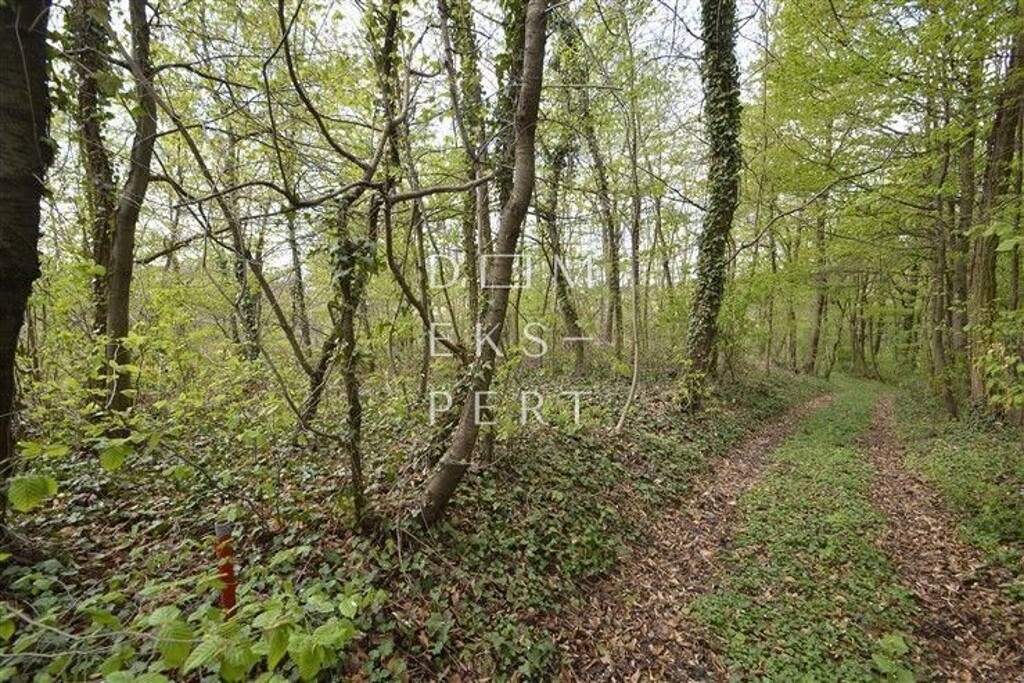 Image 5622173 - 2