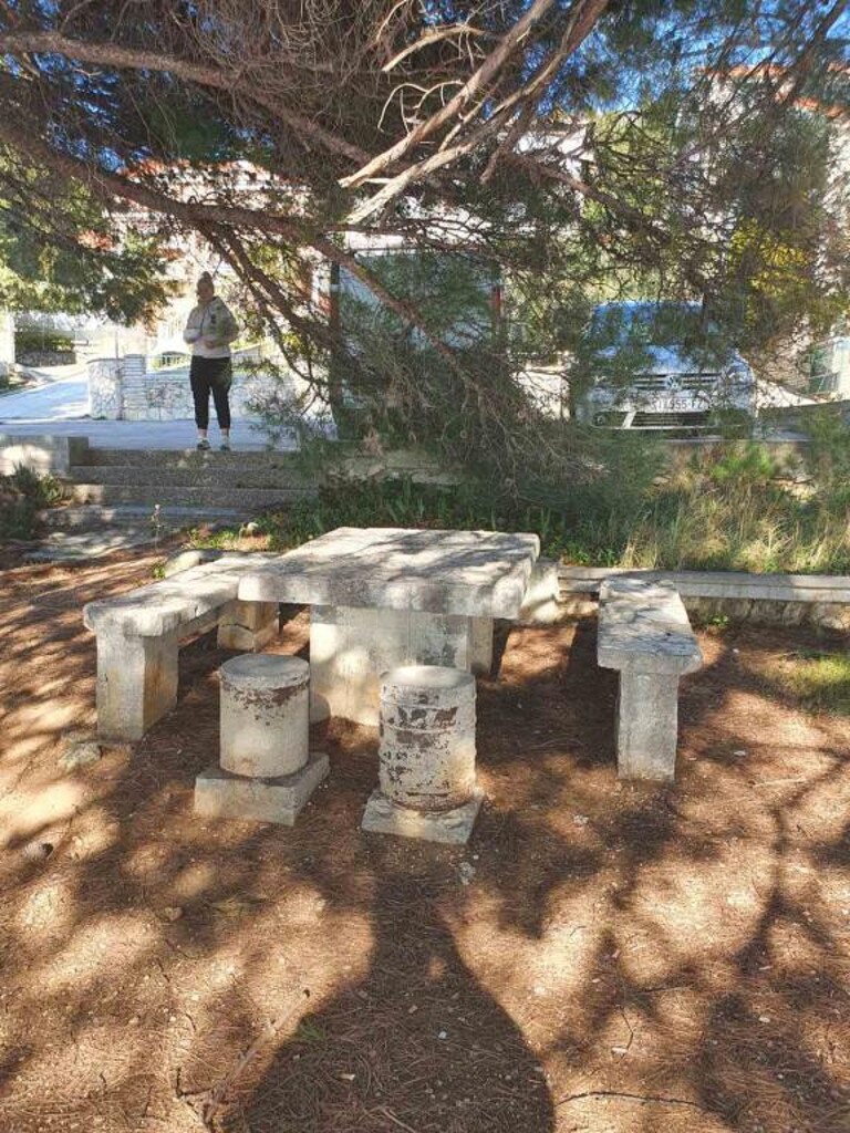 Image 12