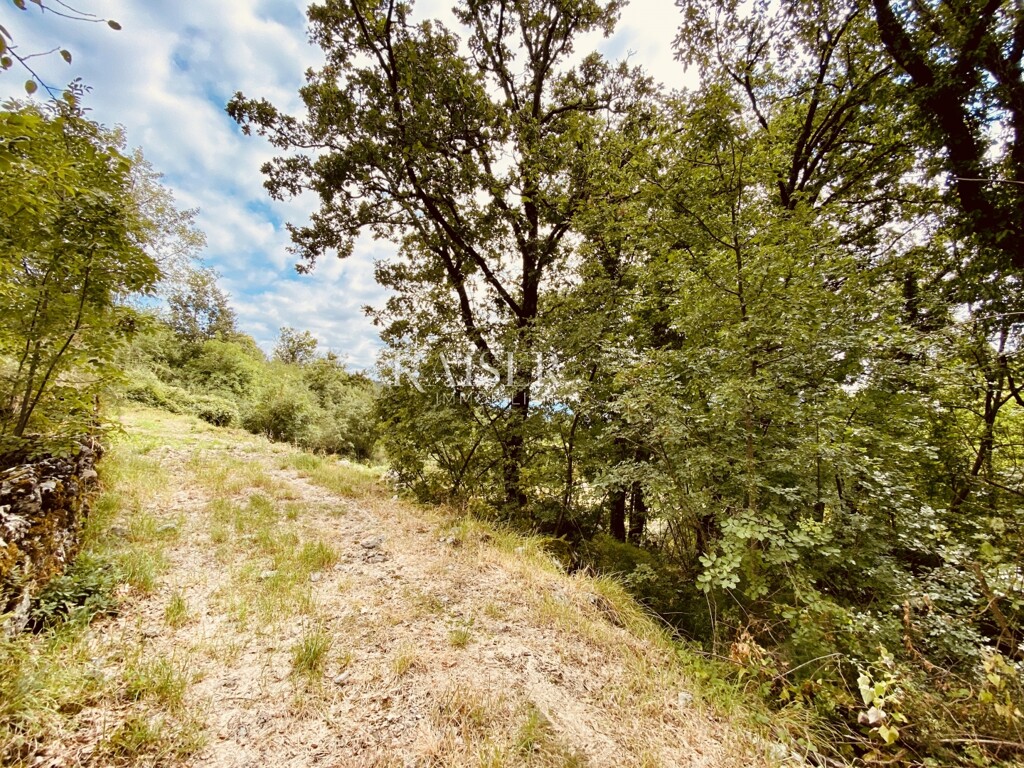 Image 13