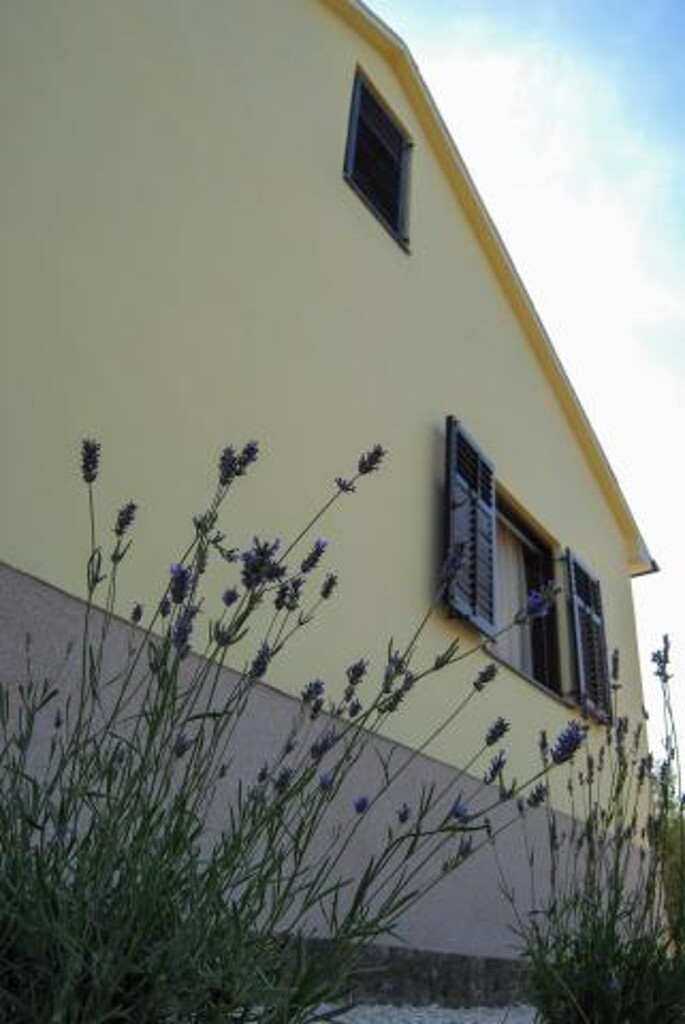 Image 3814258 - 30
