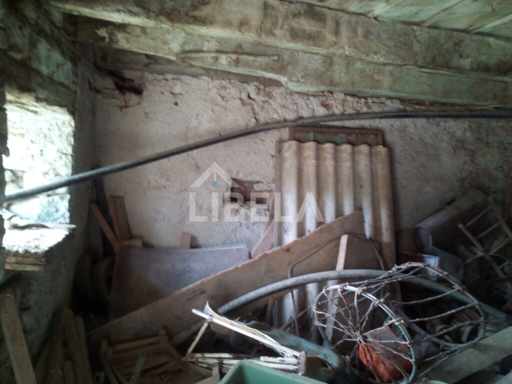 Image 11