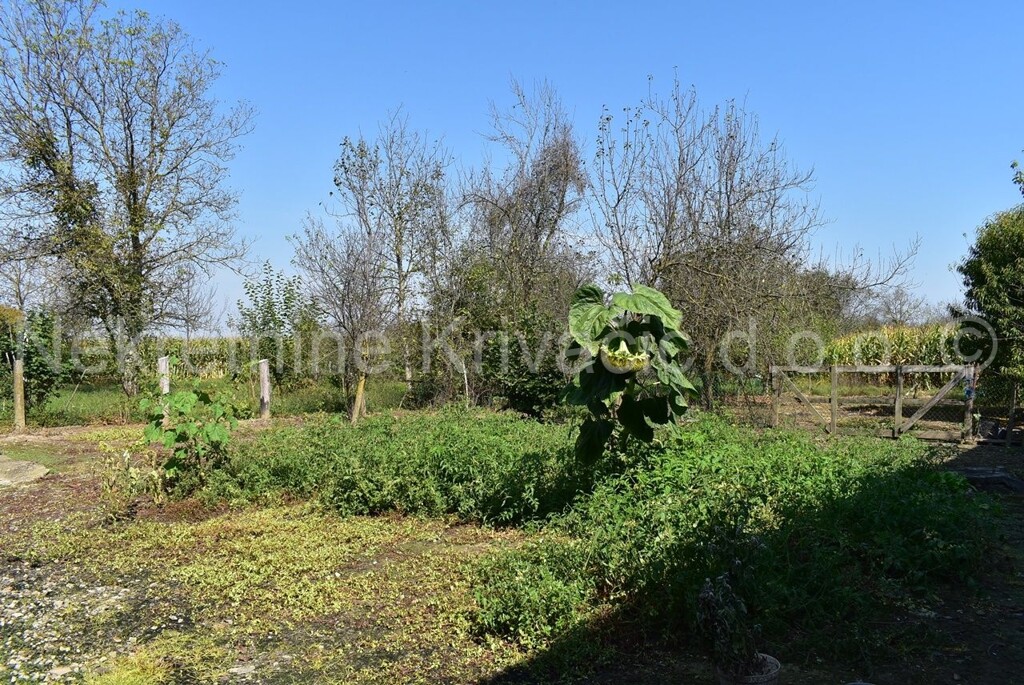 Image 4469862 - 17