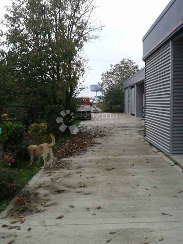 Image 12