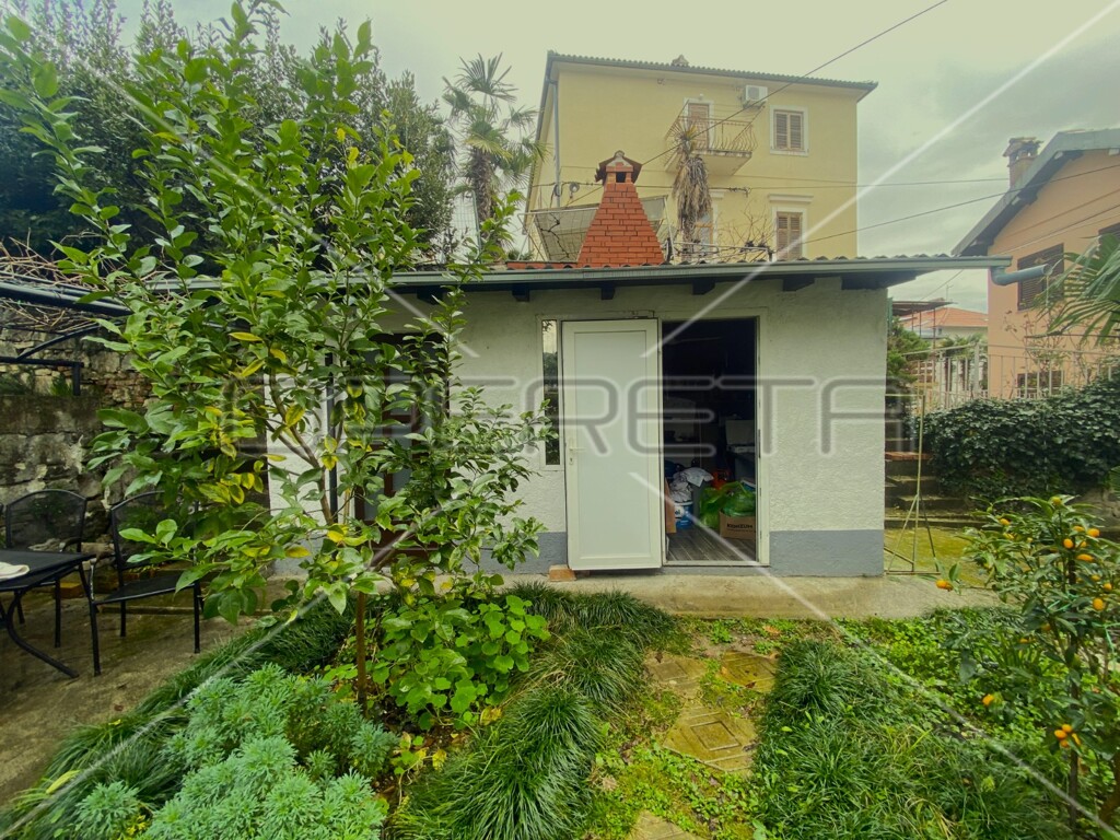 Image 13
