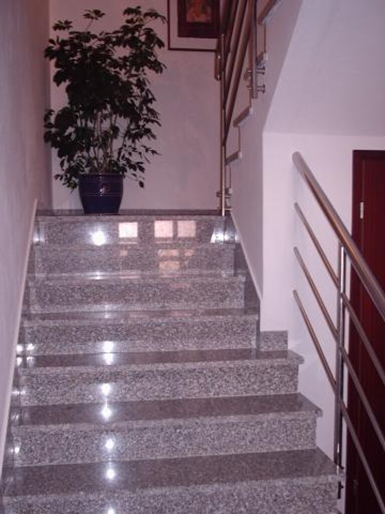 Image 3838464 - 11