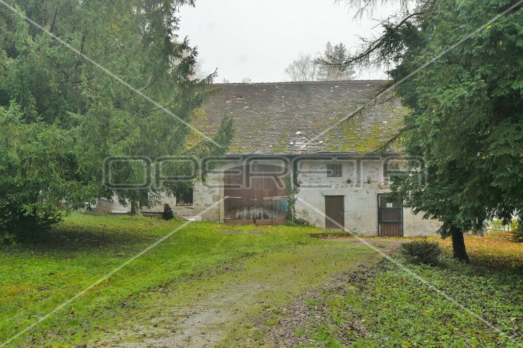 Image 19
