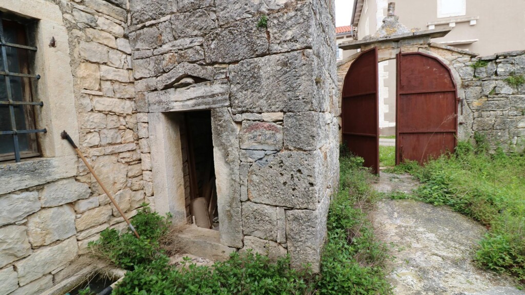 Image 12