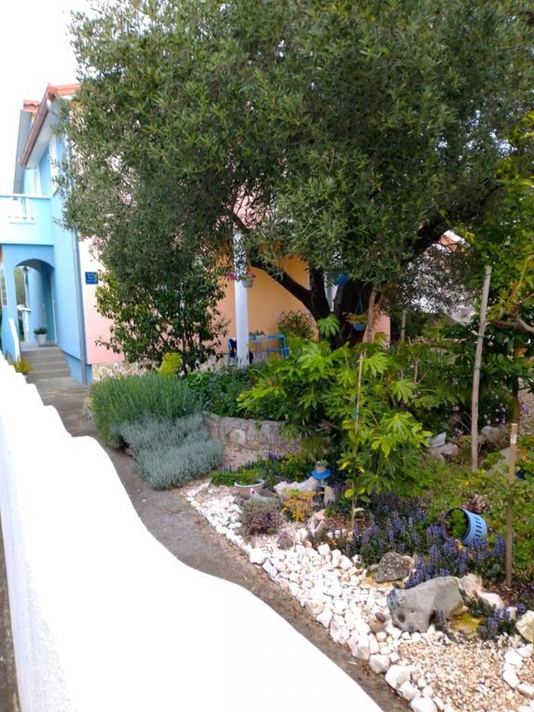 Image 3813867 - 8