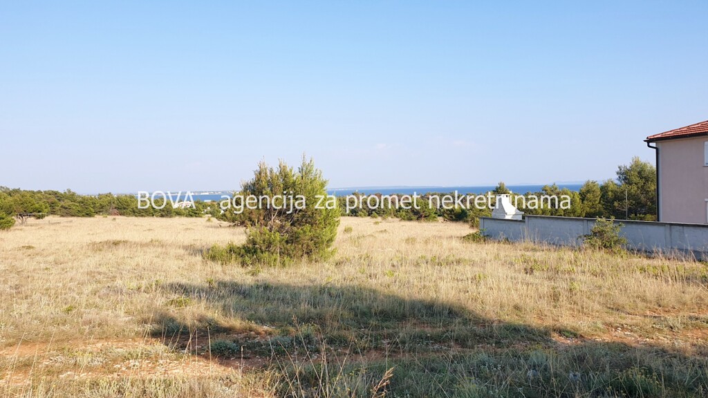 Image 4346222 - 1
