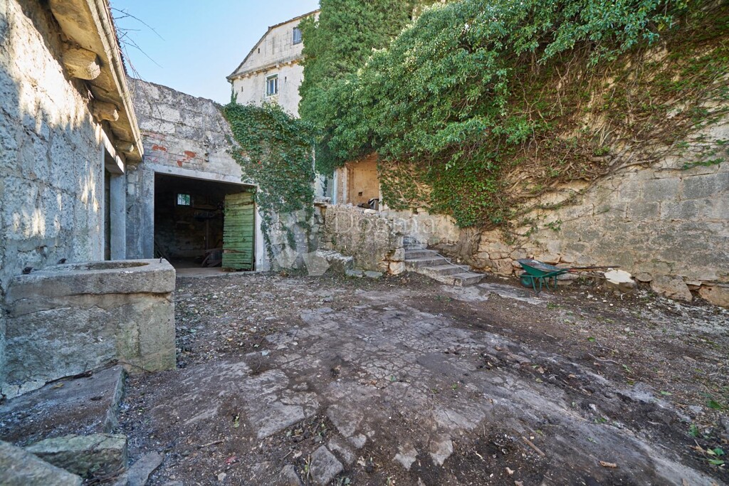 Image 14