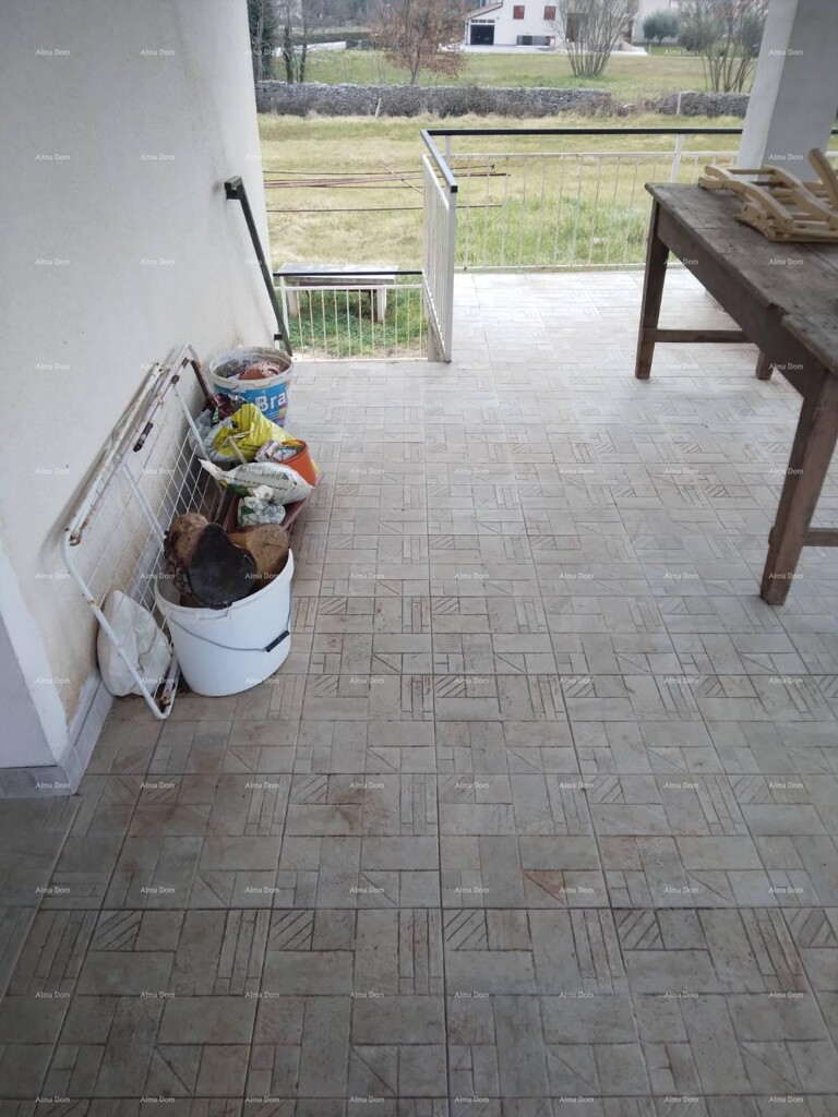 Image 13