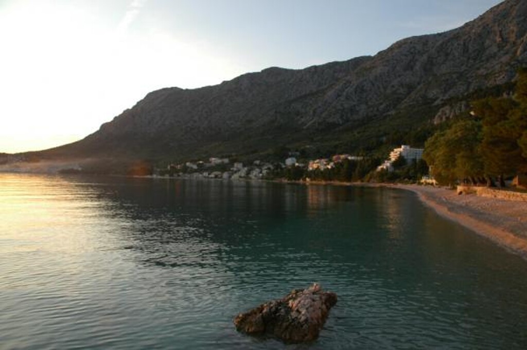 Image 3838628 - 11