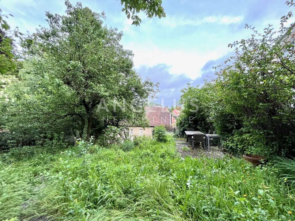 Image 16