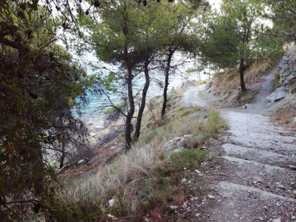 Image 3814134 - 3