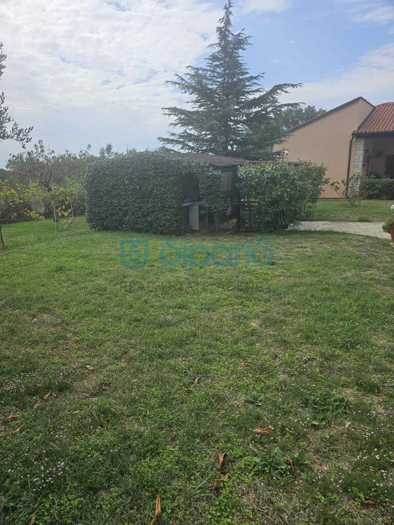 Image 19