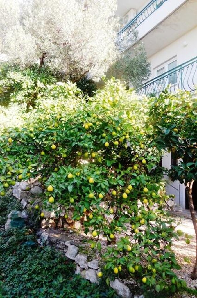 Image 3813208 - 5