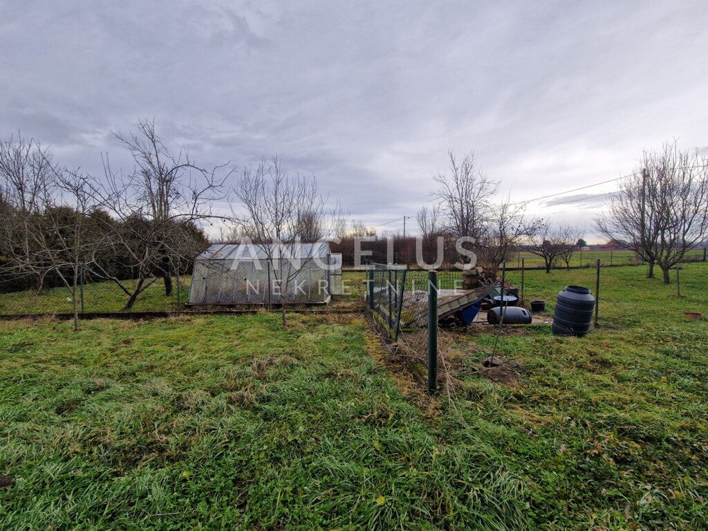 Image 13