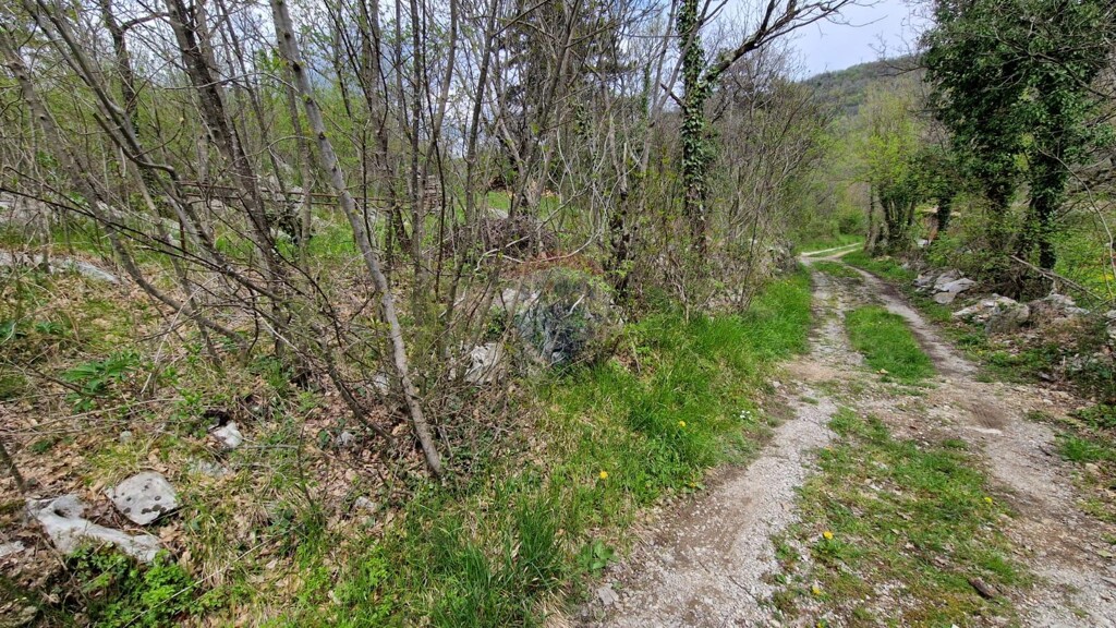 Image 5430035 - 6