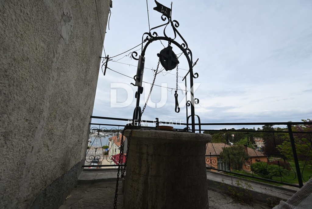 Image 23