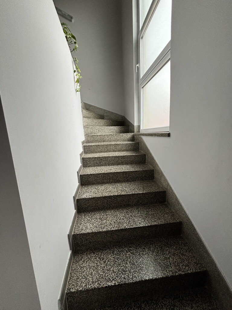 Image 19