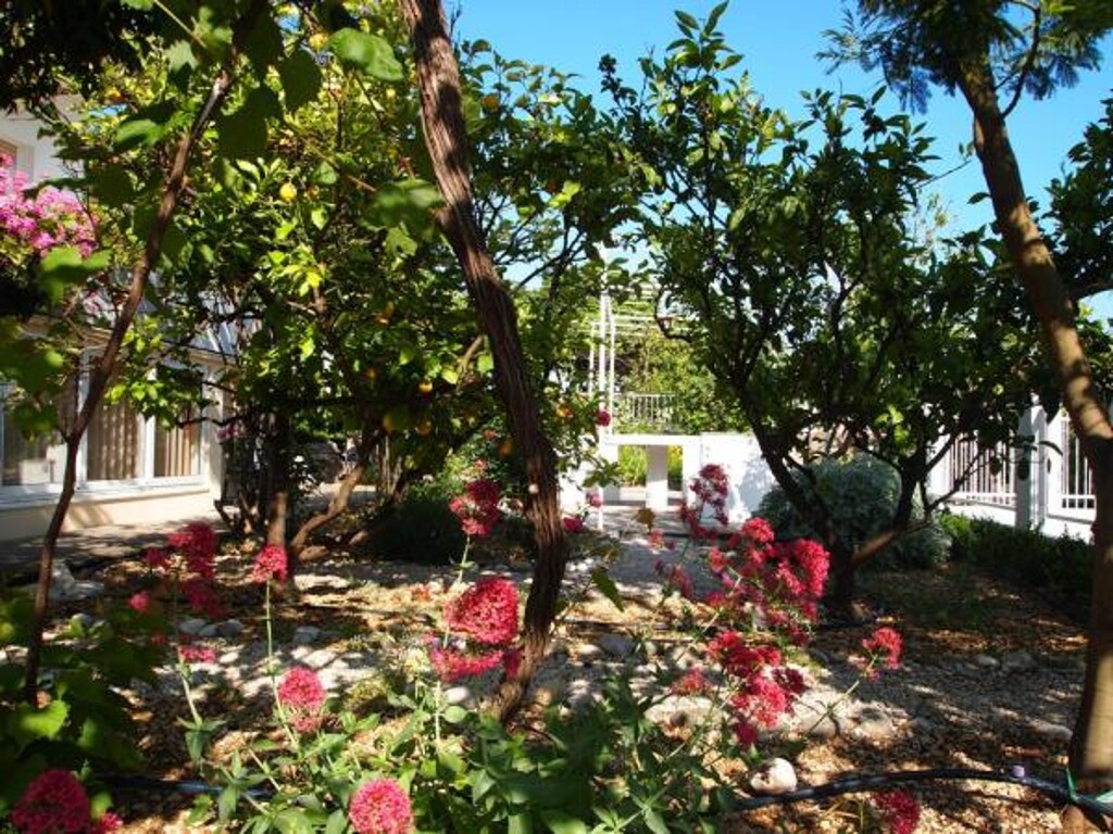 Image 3811984 - 3