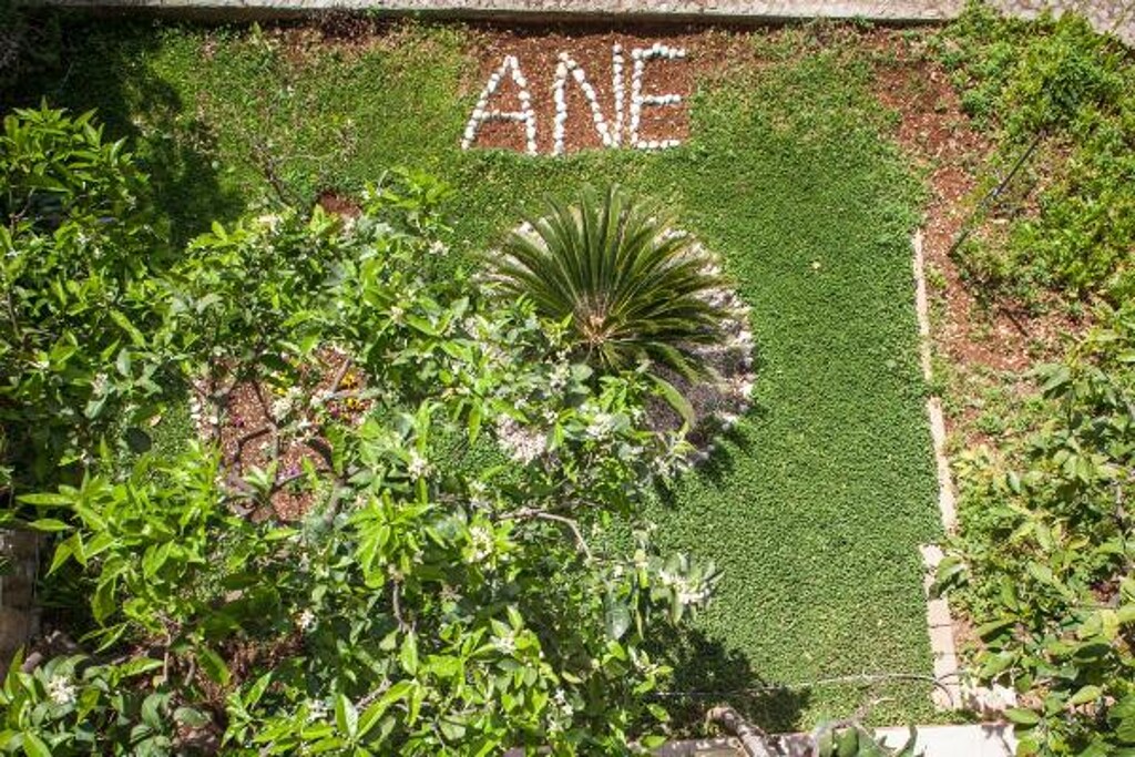 Image 3812062 - 9