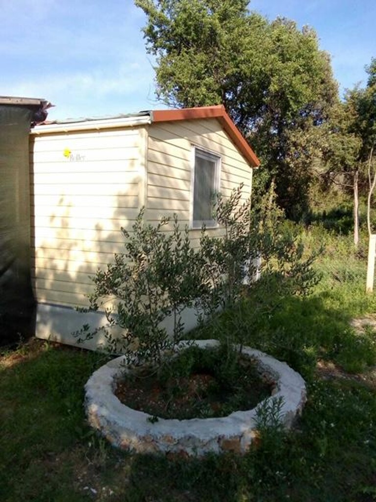 Image 3823673 - 5