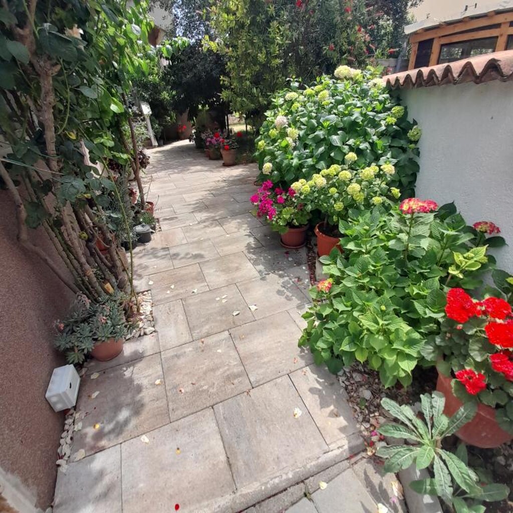 Image 27