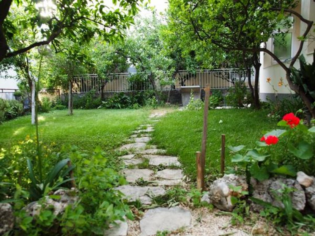 Image 3838725 - 5