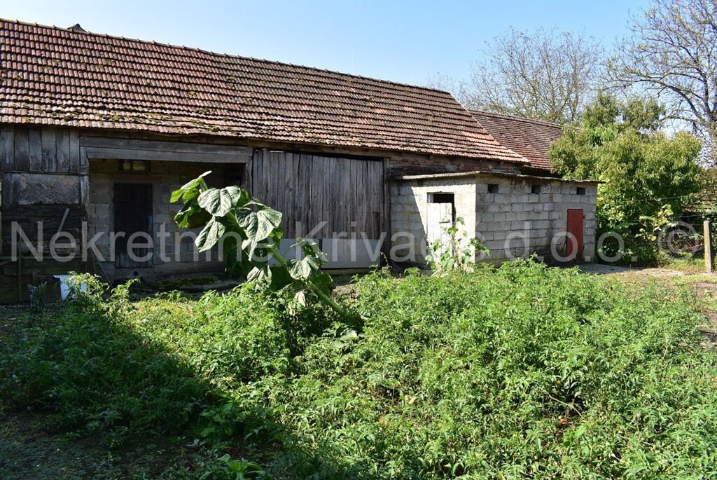 Image 4469862 - 16