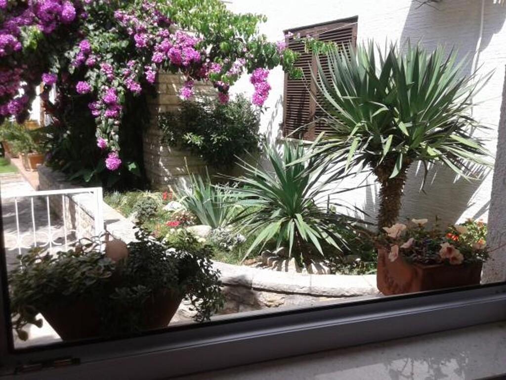 Image 3838556 - 6