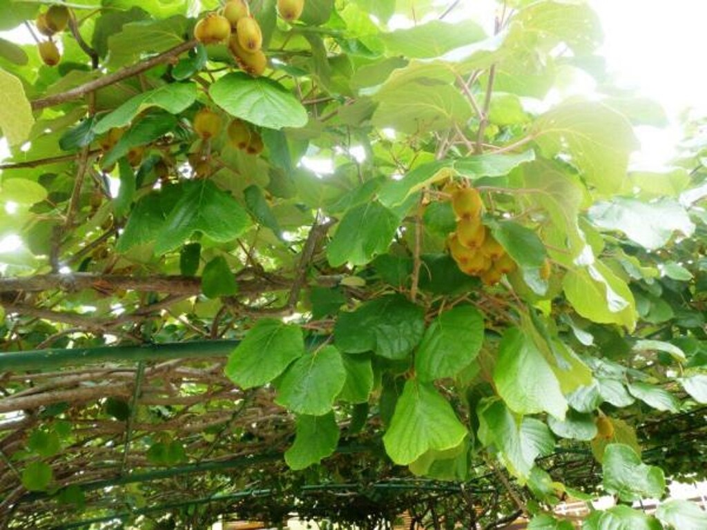 Image 3813016 - 13
