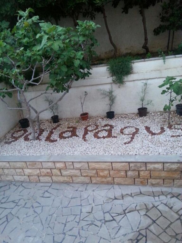 Image 3814029 - 19