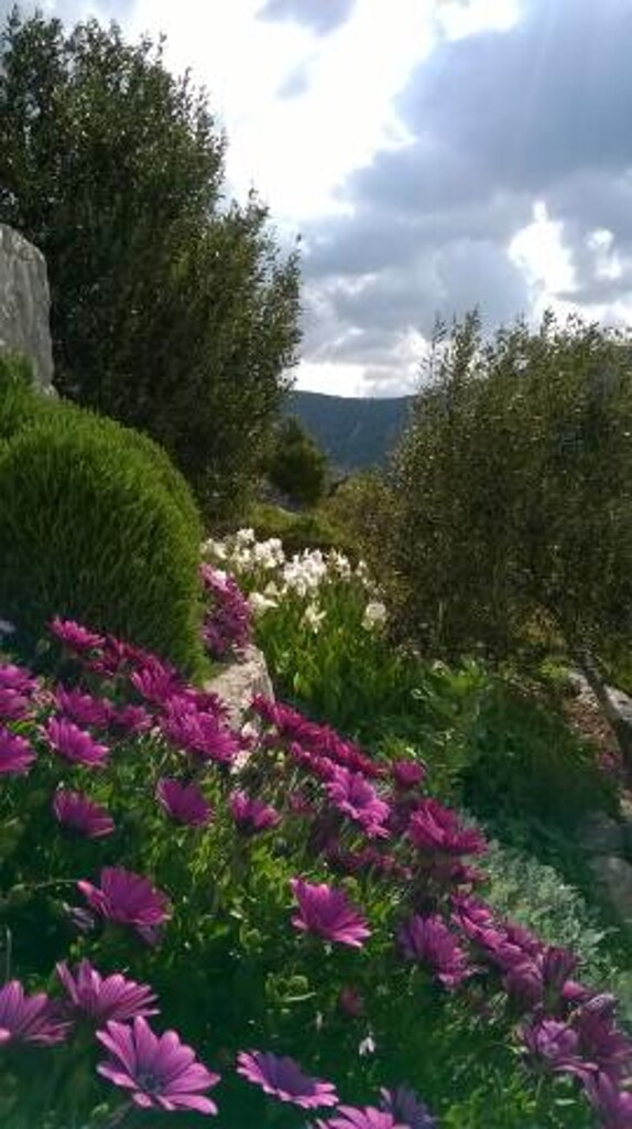 Image 3813448 - 6