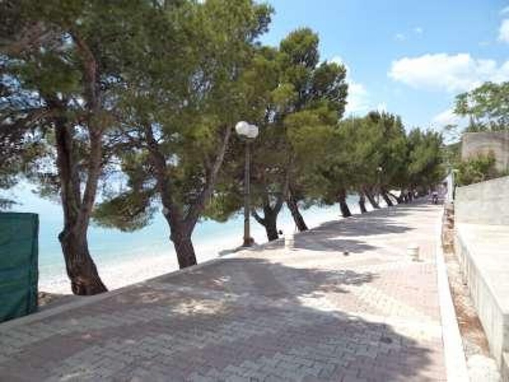 Image 3810937 - 1