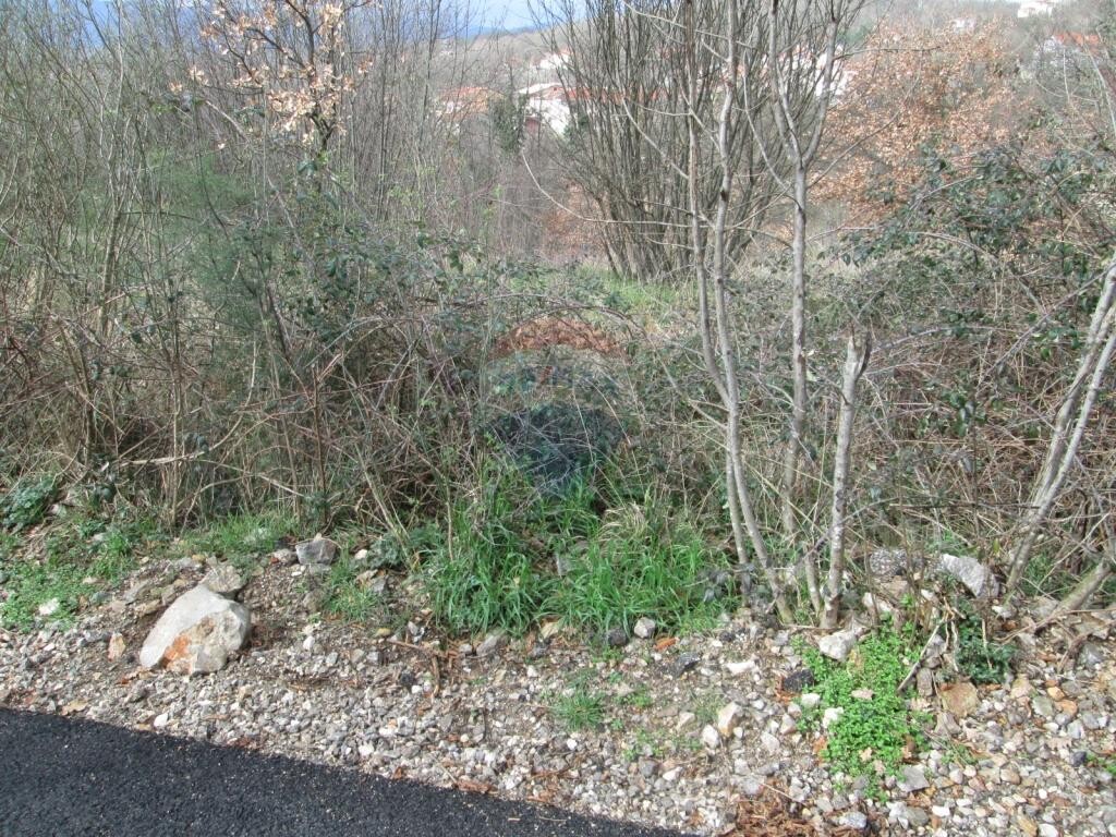 Image 5410772 - 1