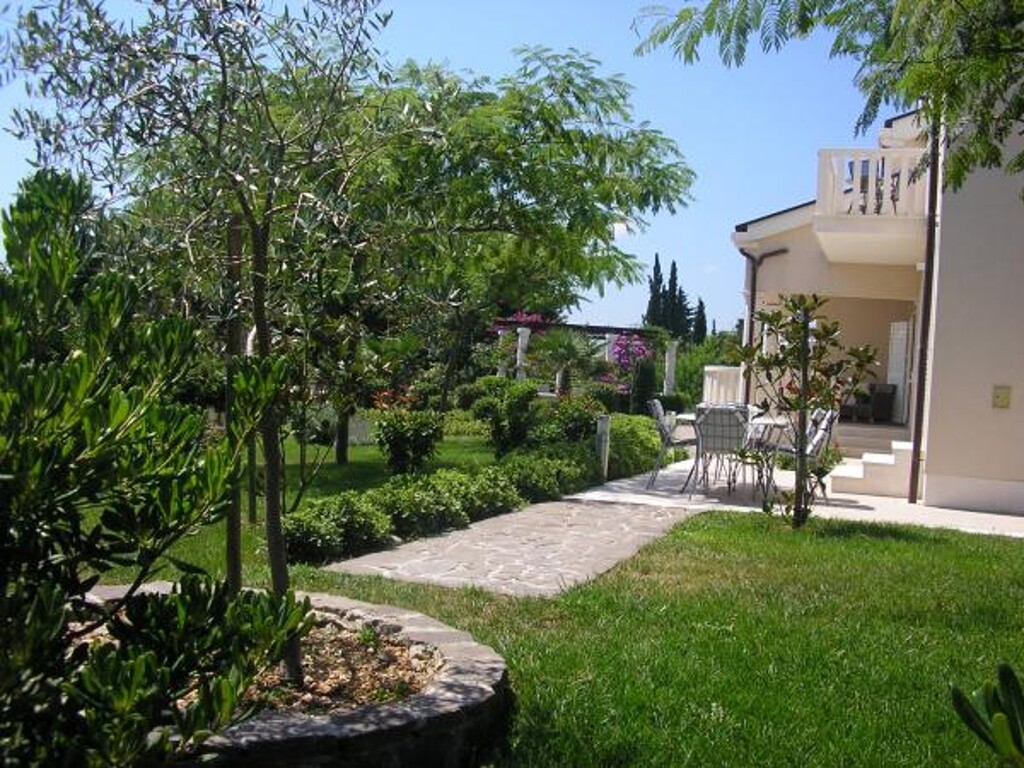 Image 3812262 - 6